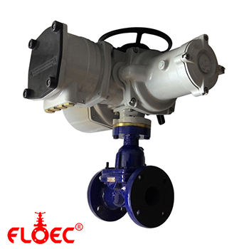 Diaphragm Valve