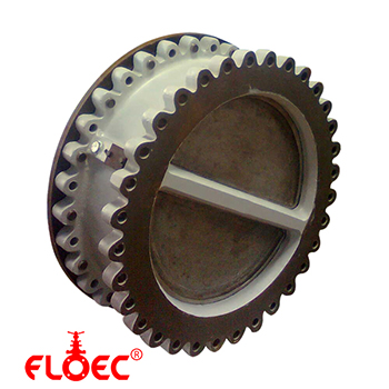 Dual Disc / Plate Check Valve