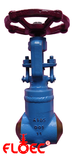 Forged Steel Gate / Globe / NRV Valve